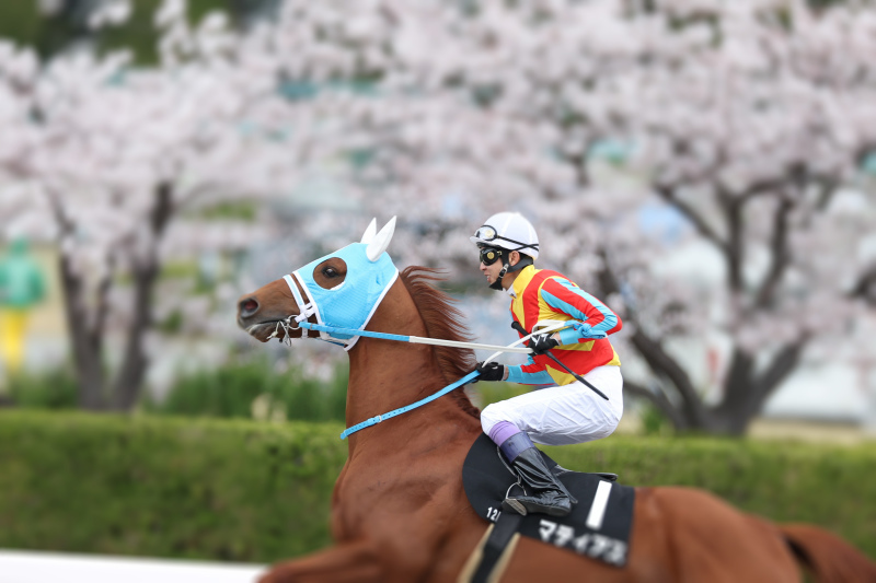 22年4月2 3日 大阪杯 G 武豊 town byスーパーマー君 22年4月2 3日 大阪杯 G 武豊 town byスーパーマー君