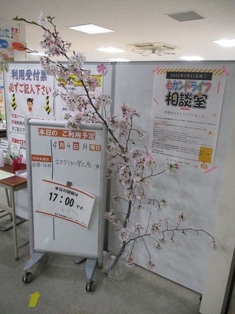 何だかバタバタ　2022年の花見は屋内バージョンで終了_f0141310_07544570.jpg