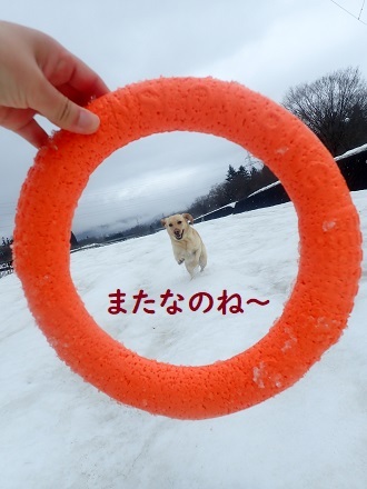 三寒四温も今日で終わり!! らしいです。_c0182012_12324465.jpg