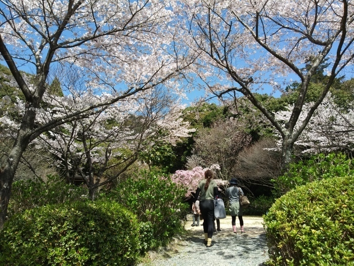 阿弥陀寺と石風呂_c0116915_00283627.jpg