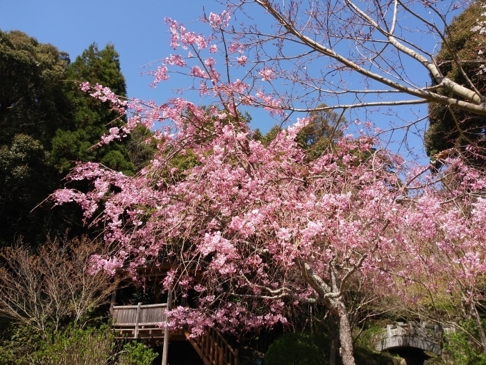 阿弥陀寺と石風呂_c0116915_00293832.jpg