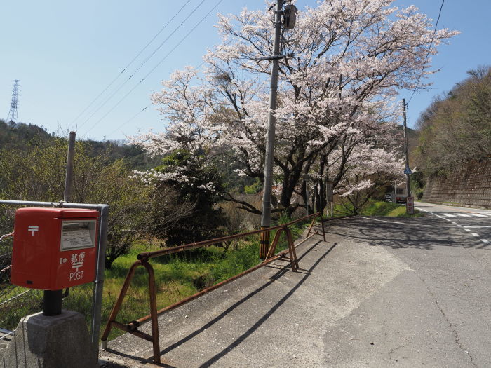 堂ヶ原橋付近の桜_c0116915_23585693.jpg