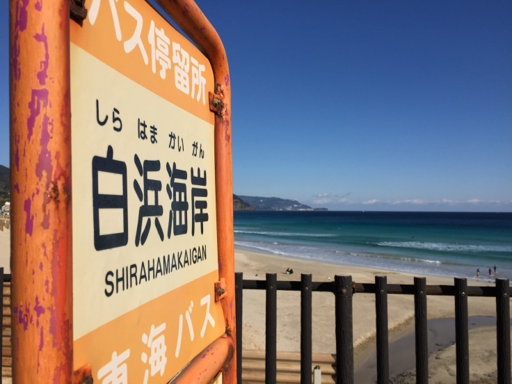 東海バス　交通系ICカードサービス開始！_d0386342_13272550.jpg