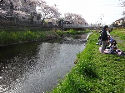 調布で花見散歩_b0122645_01232493.jpg