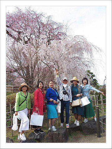 京都をこう撮って、こう語る。_b0141773_18565887.jpg
