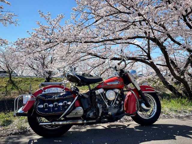 ハーレーかハーレー以外か_a0165898_17574532.jpg