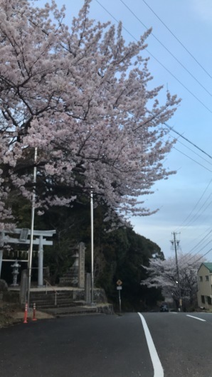 今日のこと 3月 29日!!来月の予定、チェックしてくださ〜い!!_d0263607_19334422.jpeg