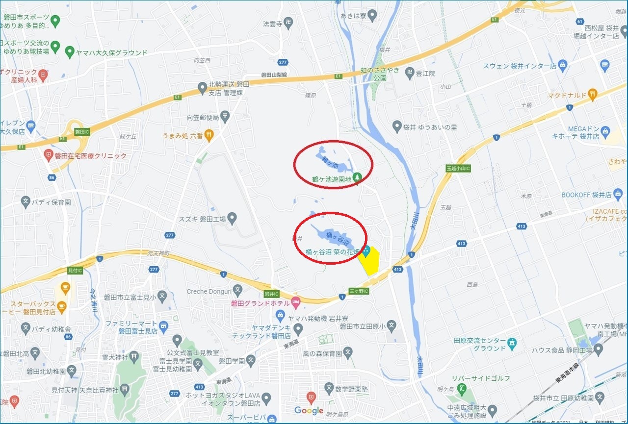 桶ヶ谷沼と菜の花畑_c0376508_19064100.jpg
