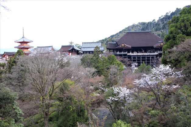 清水寺　桜が盛りです_e0048413_20355012.jpg