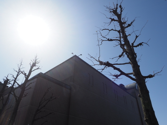 佐伯区民文化センター&五日市中央公園_c0116915_22463016.jpg
