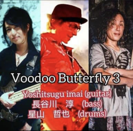 #voodoo butterfly 3_a0168628_00500677.jpeg