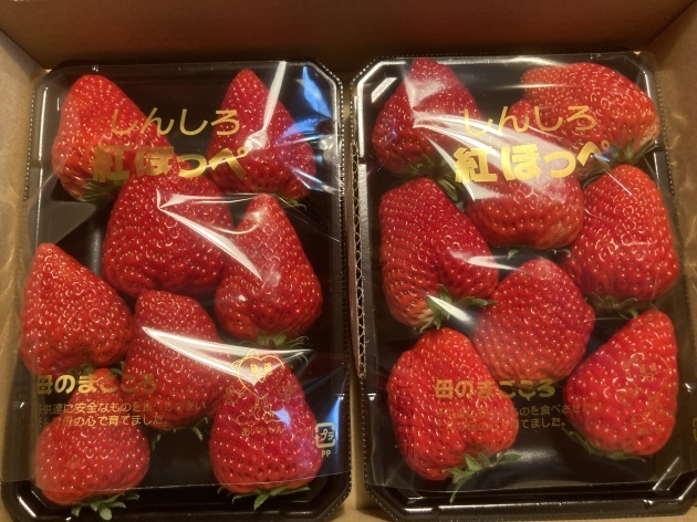 イチゴ_c0234975_17403044.jpg