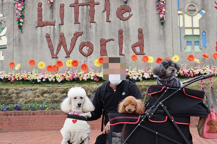 春のリトルワールド うちにかえろう