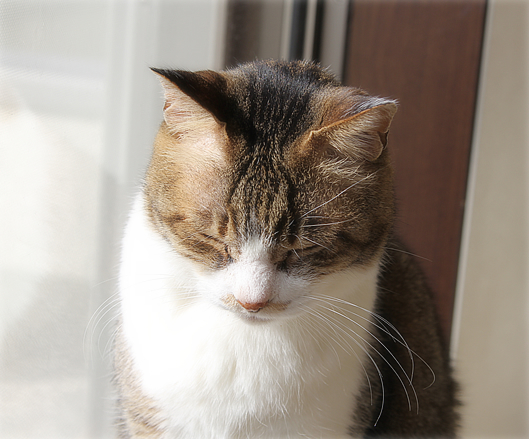 お見合い_a0389088_10540411.jpg