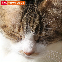 お見合い_a0389088_10540413.jpg