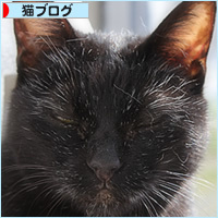 お見合い_a0389088_10540491.jpg