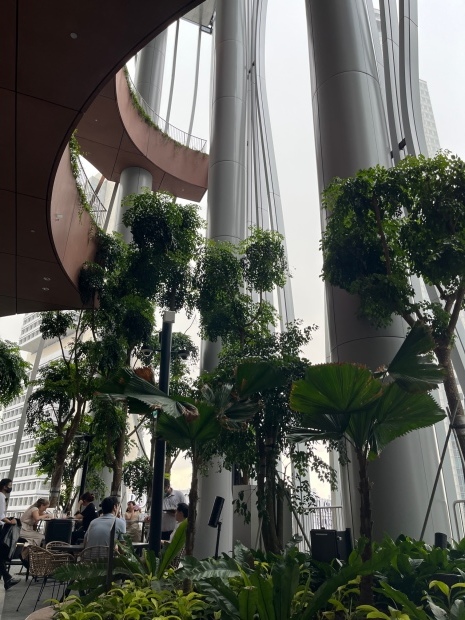 街中「緑のオアシス」、雨のミストを浴びながらお散歩