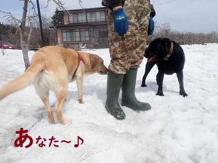 衝撃!! アイスのモナ王_c0182012_12035341.jpg