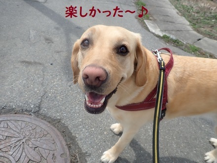衝撃!! アイスのモナ王_c0182012_12035551.jpg