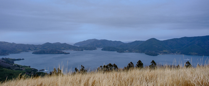 「隠岐2022　西ノ島 鬼舞展望台、いかあ屋」_a0000029_08333119.jpg