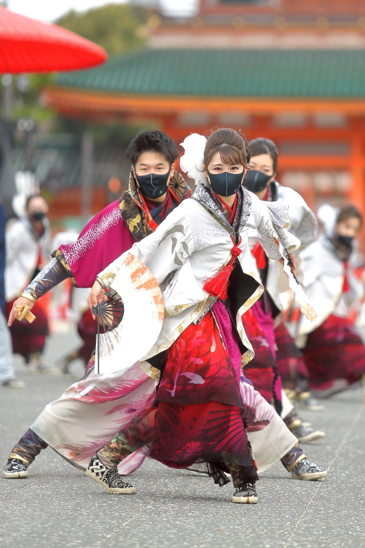 第18回 京都さくらよさこい ~百華夢想瀬戸内支部~_c0196076_09170920.jpg