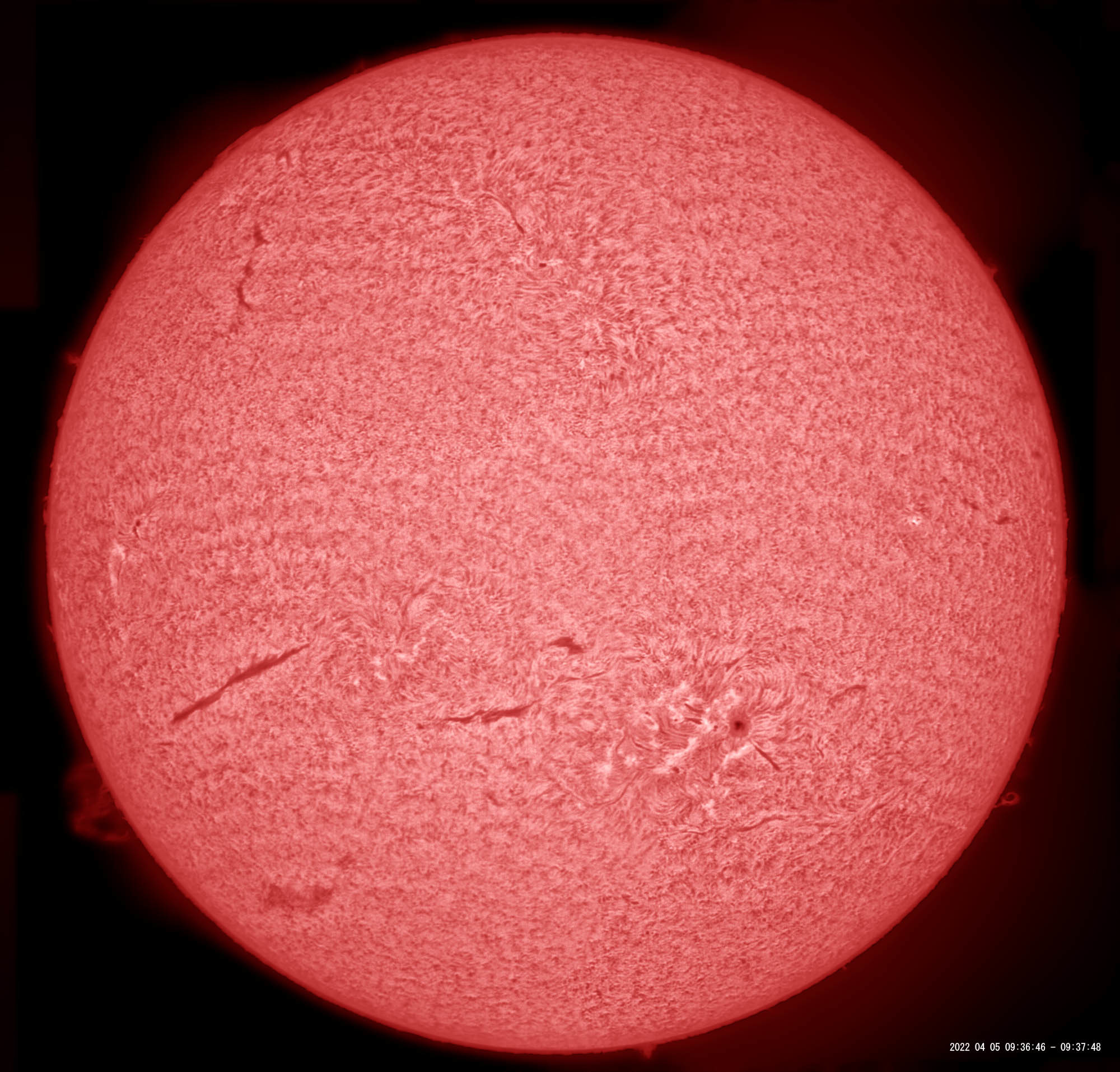4月5日の太陽_e0174091_10350365.jpg