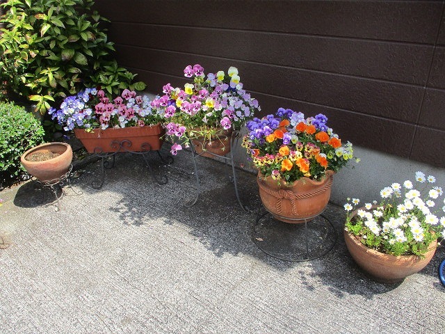 2022年4月　春を待ちわびていた花々が咲き誇る駿河台三丁目のお宅_f0141310_07290984.jpg