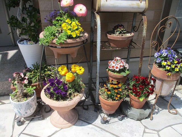 2022年4月 春を待ちわびていた花々が咲き誇る駿河台三丁目のお宅_f0141310_07291683.jpg