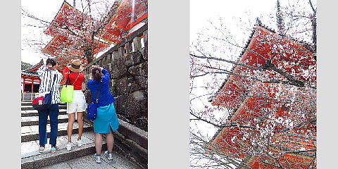 「健康をカタチ」にする旅、京都　2泊3日。_d0046025_23043103.jpg