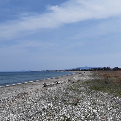 流木拾い_f0129726_20532570.jpg