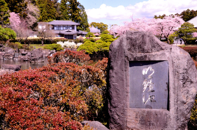  大石寺の桜の花と、富士山を撮る_f0222533_17022484.jpg
