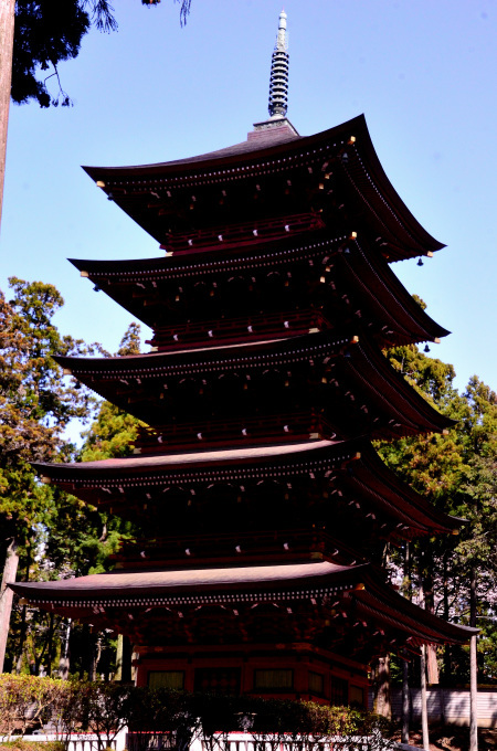  大石寺の桜の花と、富士山を撮る_f0222533_17072262.jpg