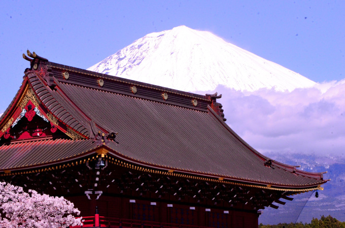  大石寺の桜の花と、富士山を撮る_f0222533_17373541.jpg