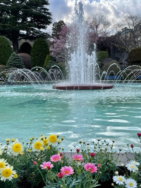 4月の強羅公園(箱根）・・・・２０２２，４，７_b0066502_14040080.jpg