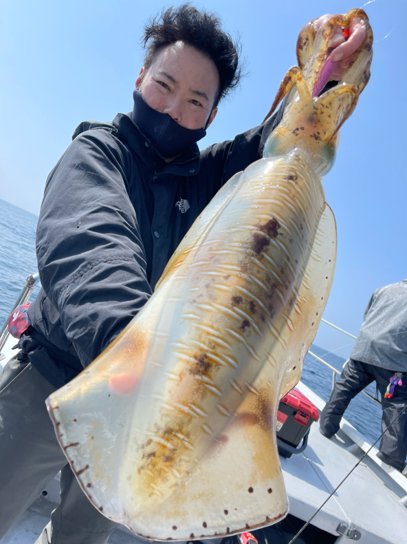 4月8日 アオリイカ 便 三重県 志摩沖 つり船 まると屋