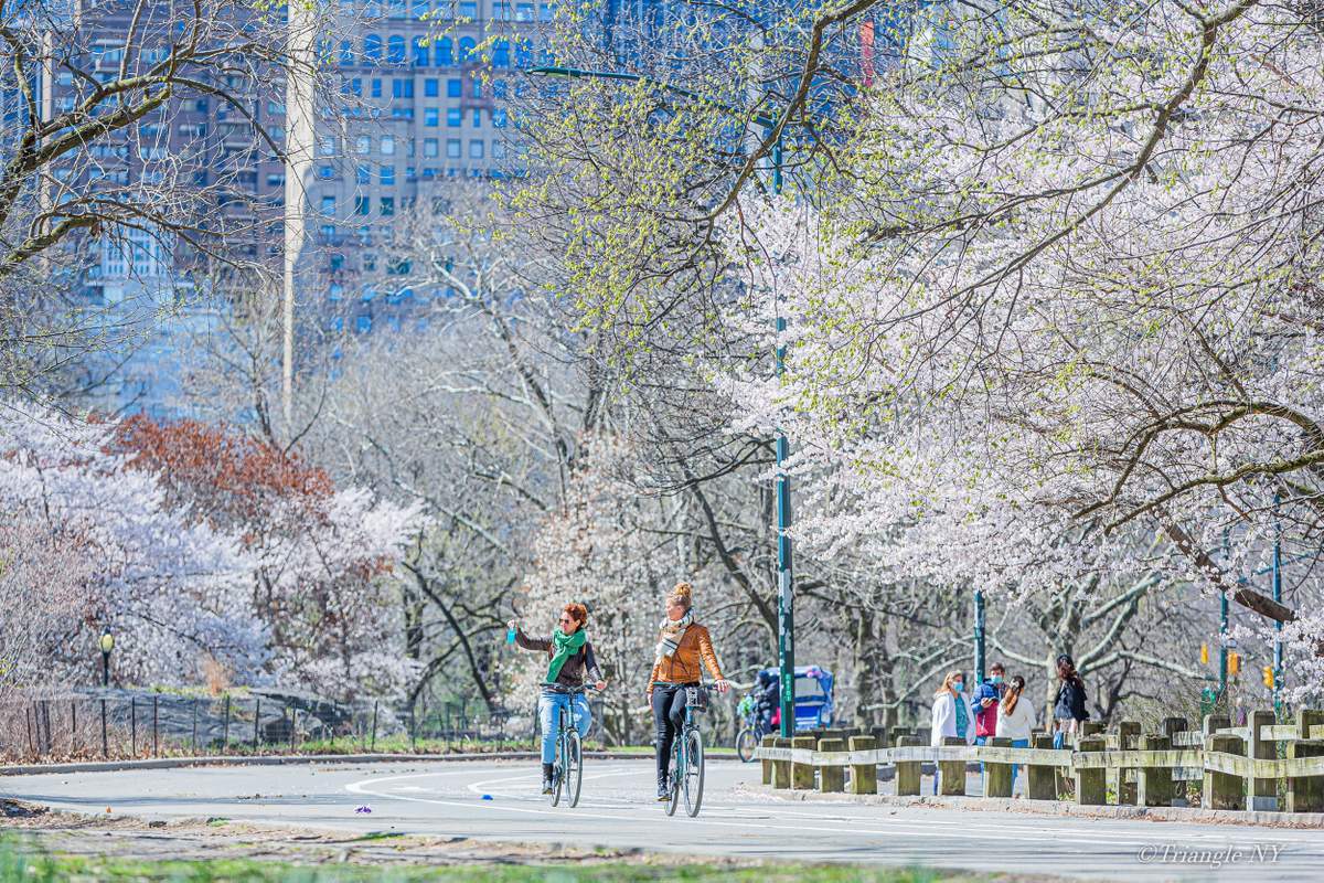 Spring in Central Park 2022_a0274805_07331796.jpg