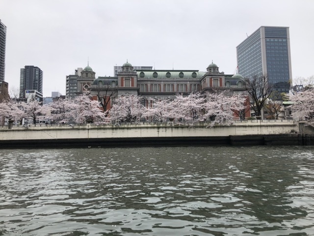桜の日本〜カッラーラへ_d0136540_04324678.jpeg