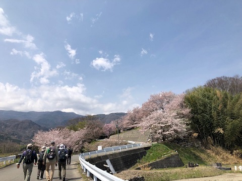 わに塚の桜ウォーク2022_f0019247_17400858.jpg