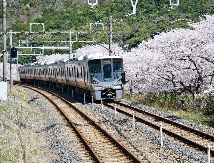 　　山中渓駅（やまなかだにえき）にて　　２０２２-０４-０９　００：００ 　_b0093754_23123835.jpg