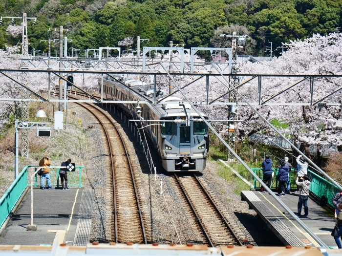 　　山中渓駅（やまなかだにえき）にて　　２０２２-０４-０９　００：００ 　_b0093754_23141430.jpg