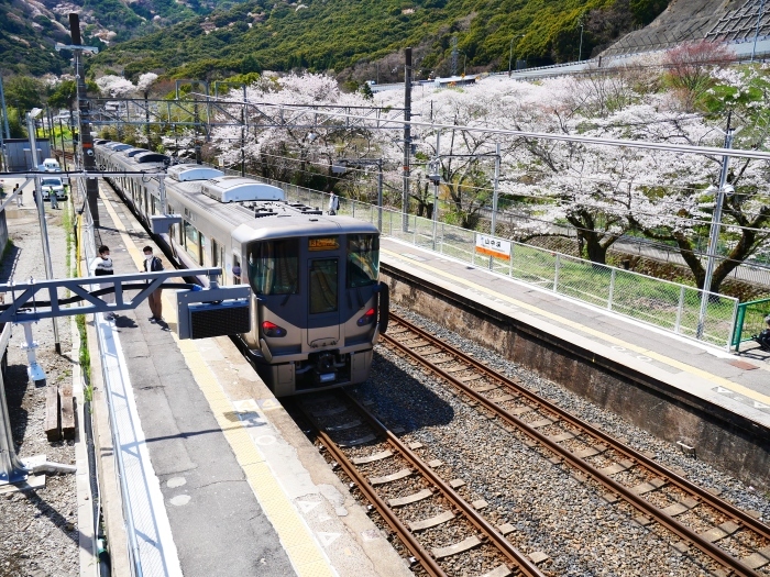 　　山中渓駅（やまなかだにえき）にて　　２０２２-０４-０９　００：００ 　_b0093754_23161068.jpg