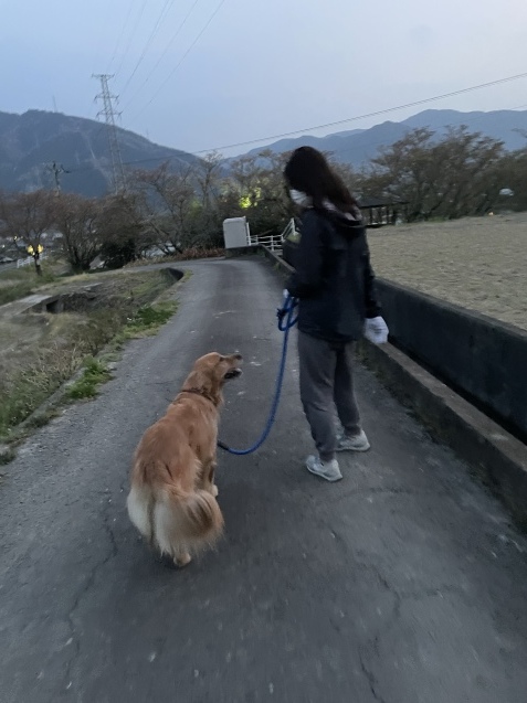 週末。_a0394574_23220914.jpeg