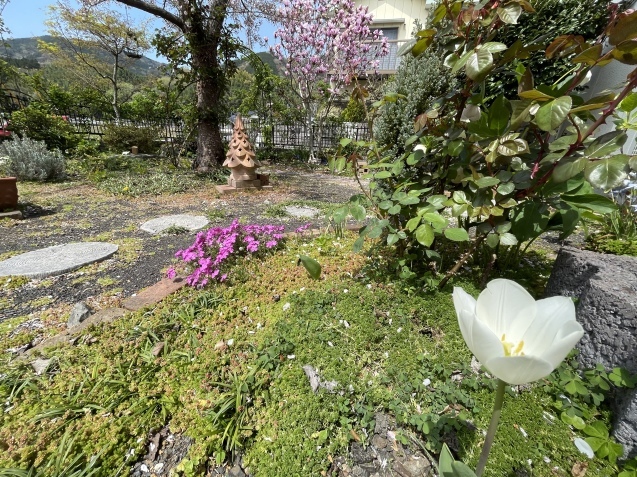 週末。_a0394574_23242662.jpeg