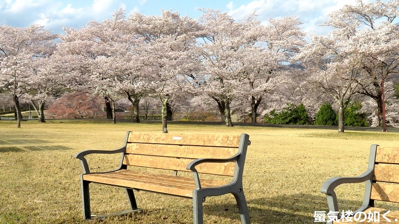 ｺﾐｯｸ「ゆるキャン△」舞台探訪023 第13巻第73話 斉藤恵那 富士川公園へ、新キャラも登場_e0304702_21032388.jpg