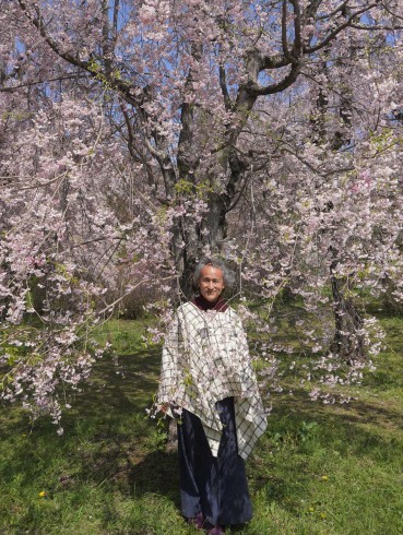 枝垂桜@神代植物公園_f0006713_18274557.jpg