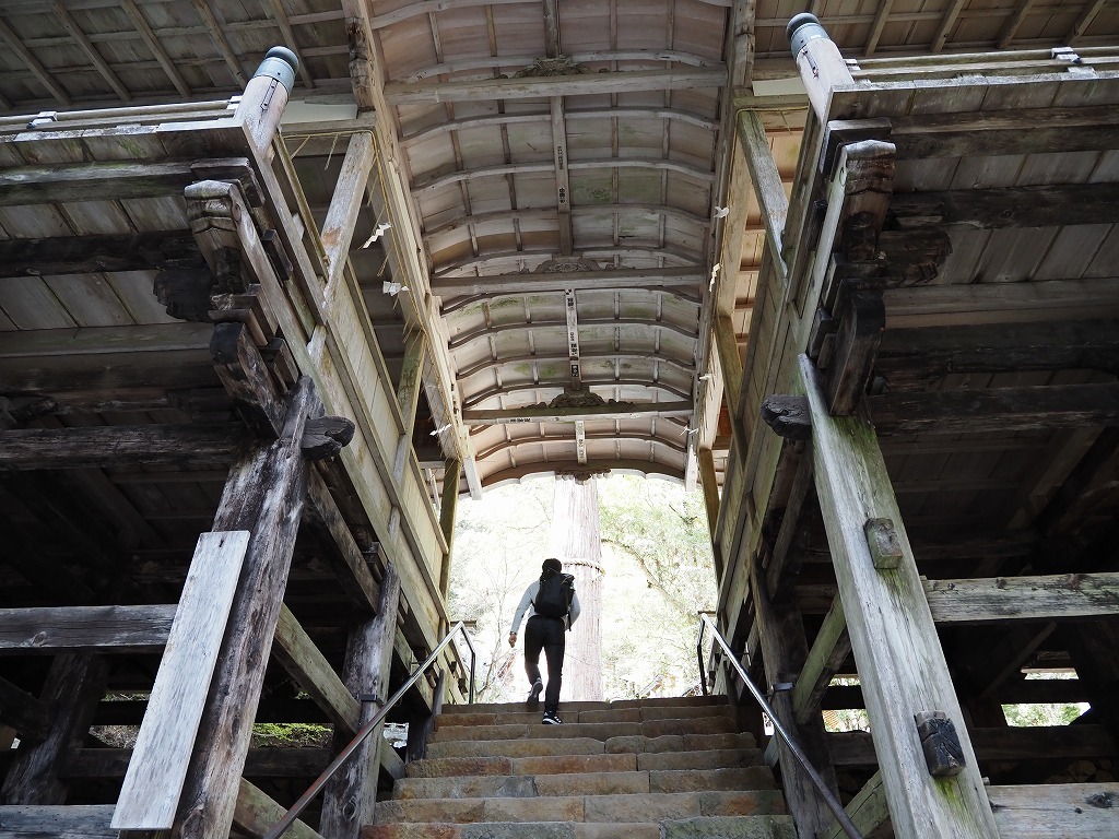 鞍馬寺から由岐神社へ_e0374932_18391965.jpg