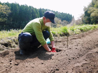 清流が育てる『若木生姜』の新生姜の11月の販売に向け、植付けの様子を現地取材!_a0254656_17361692.jpg