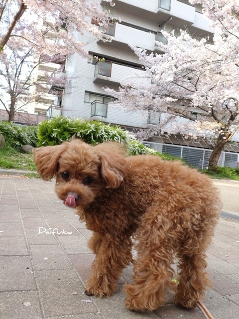 無印ジュートバッグアレンジしちゃった！_f0200568_17164442.jpeg