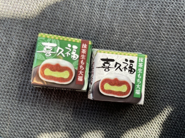 取り戻しつつある元気。_a0394574_22425664.jpeg
