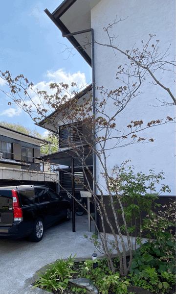 浜田山の家、１年点検、その2。_b0014003_18334351.gif